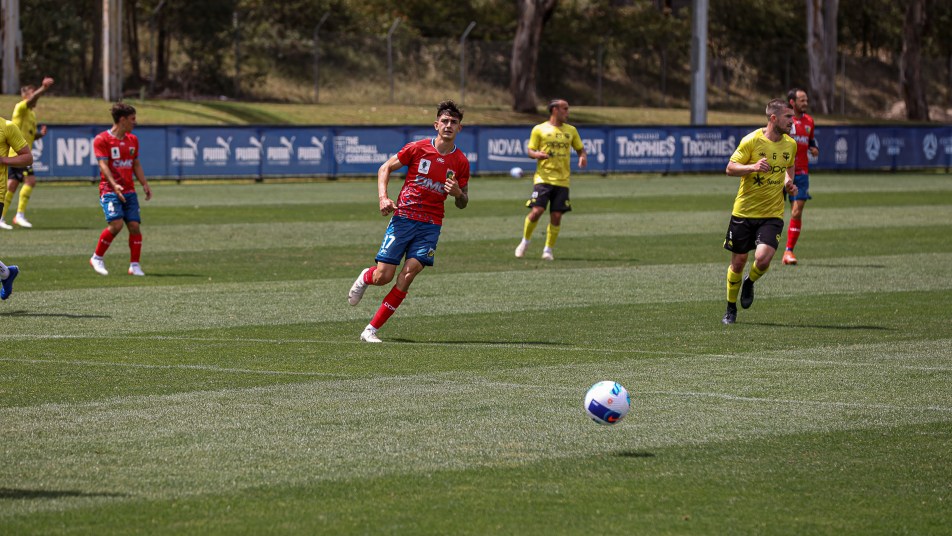 damian Tsekenis Wellington Friendly